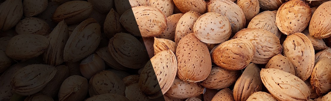 Amandes entières ou décortiquées